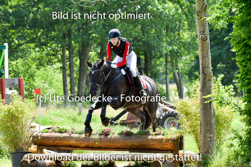Goldene Schärpe PFerde  in Löningen  11+12.6.22 | 11062022 - Gelände 151 Abt