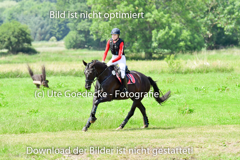 Goldene Schärpe PFerde  in Löningen  11+12.6.22 | 11062022 - Gelände 153 Abt