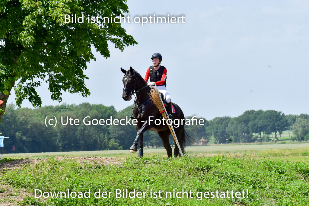 Goldene Schärpe PFerde  in Löningen  11+12.6.22 | 11062022 - Gelände 155 Abt