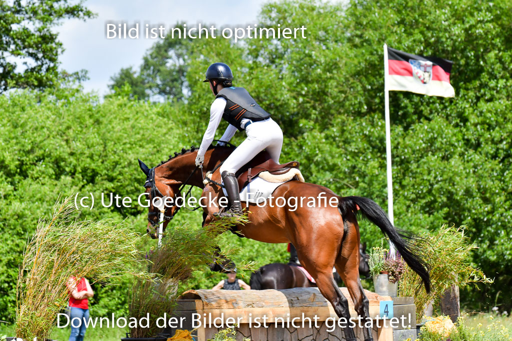 Goldene Schärpe PFerde  in Löningen  11+12.6.22 | 11062022 - Gelände 162 Abt