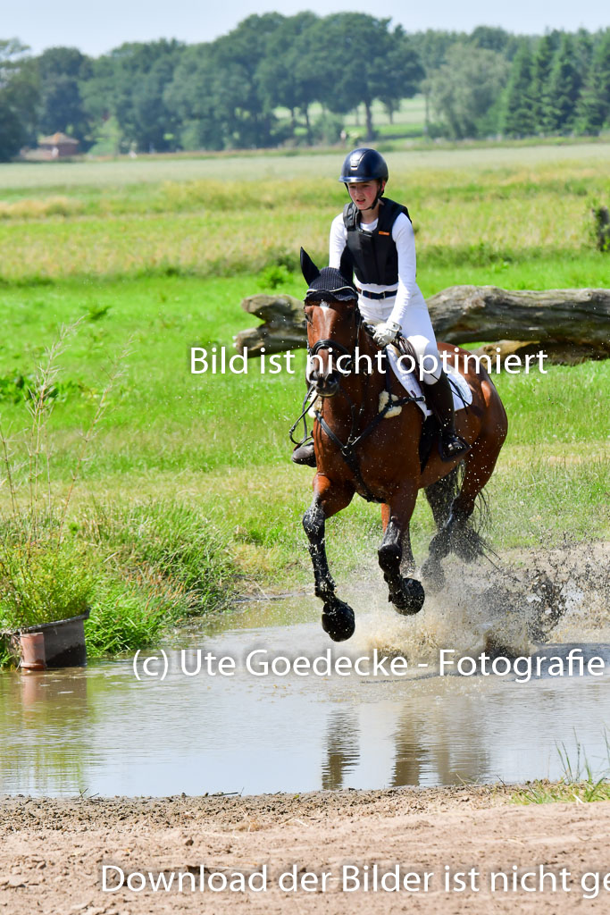 Goldene Schärpe PFerde  in Löningen  11+12.6.22 | 11062022 - Gelände 164 Abt