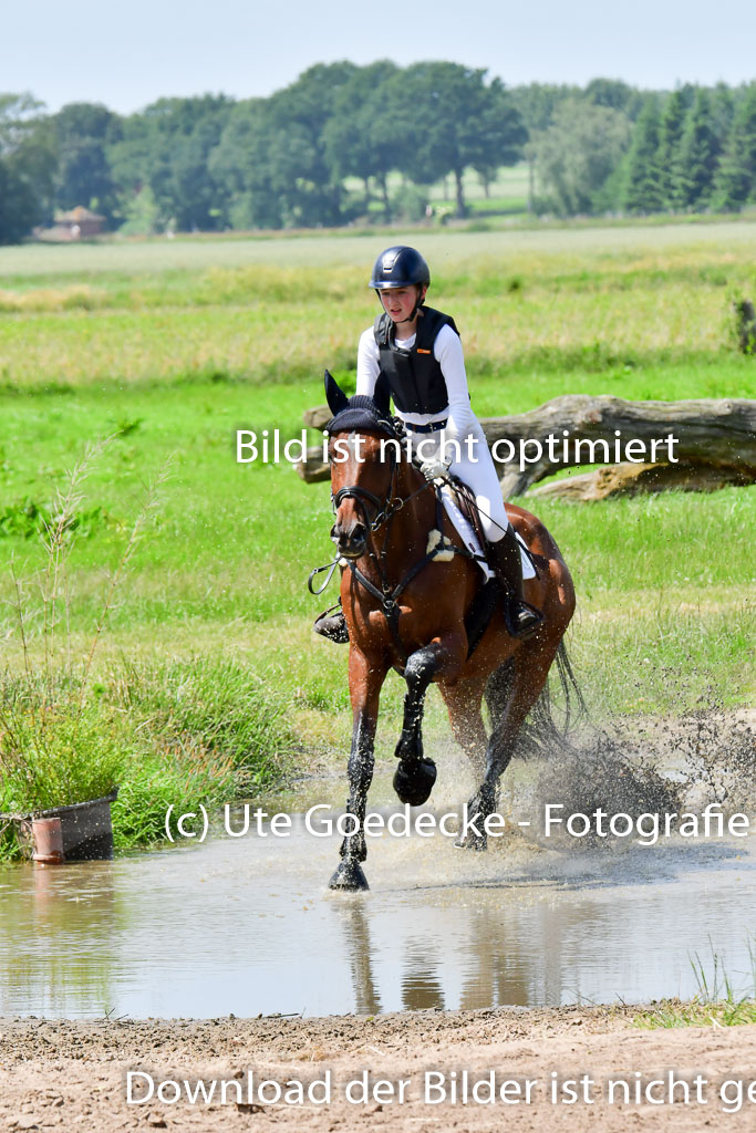 Goldene Schärpe PFerde  in Löningen  11+12.6.22 | 11062022 - Gelände 165 Abt