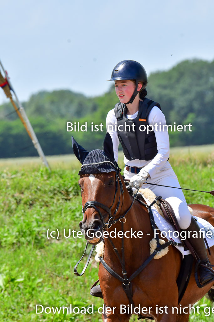 Goldene Schärpe PFerde  in Löningen  11+12.6.22 | 11062022 - Gelände 166 Abt