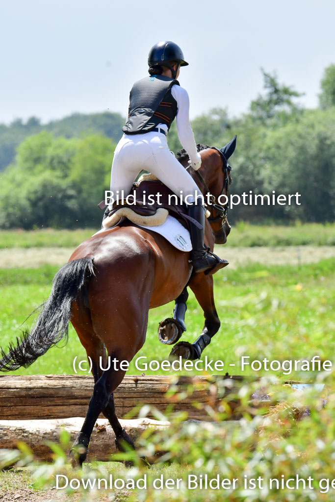 Goldene Schärpe PFerde  in Löningen  11+12.6.22 | 11062022 - Gelände 167 Abt