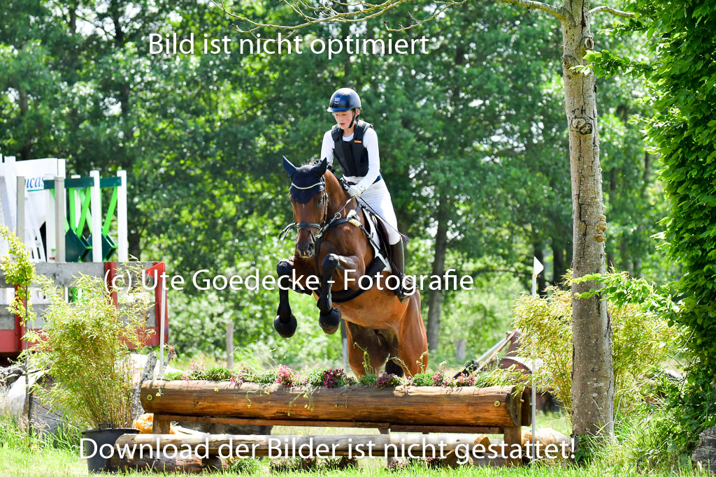 Goldene Schärpe PFerde  in Löningen  11+12.6.22 | 11062022 - Gelände 168 Abt