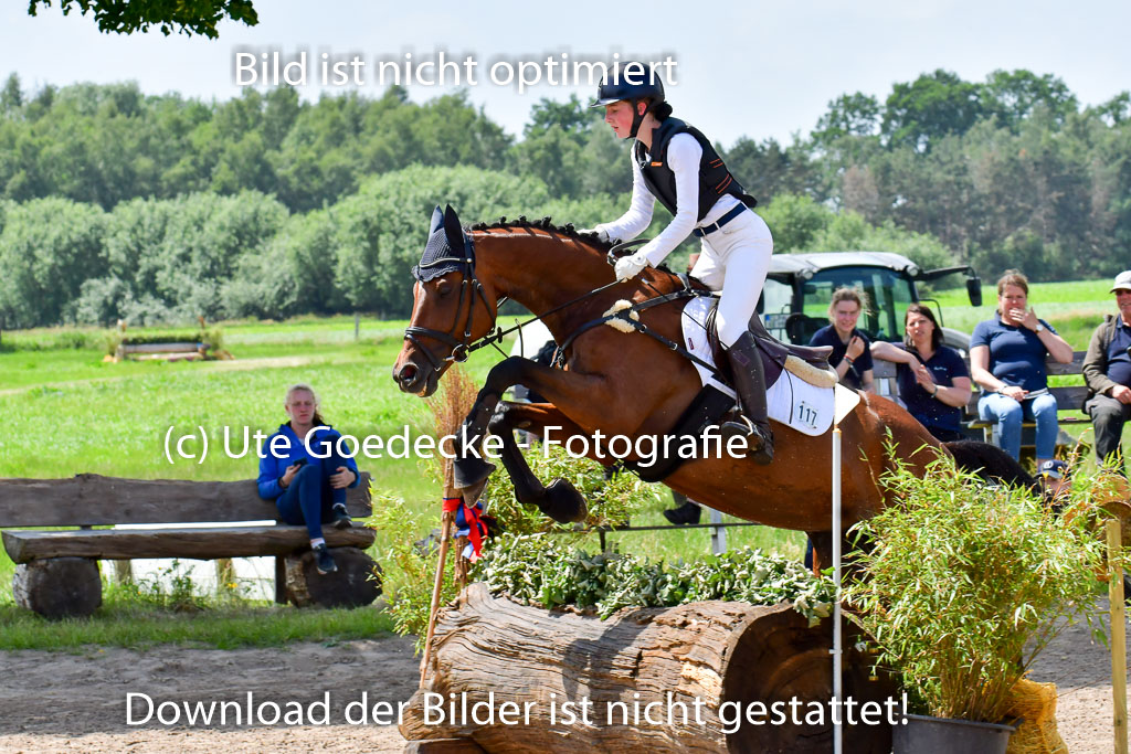 Goldene Schärpe PFerde  in Löningen  11+12.6.22 | 11062022 - Gelände 171 Abt