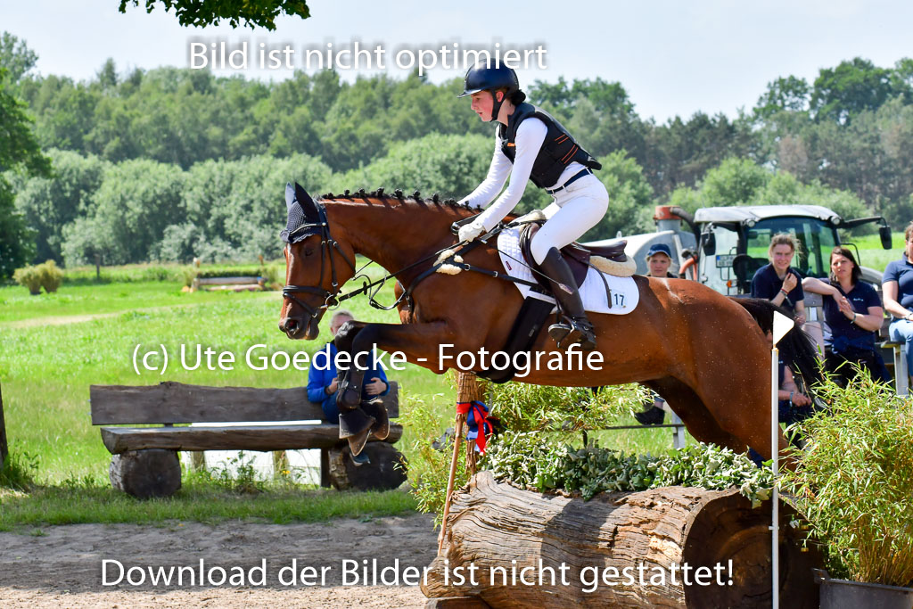 Goldene Schärpe PFerde  in Löningen  11+12.6.22 | 11062022 - Gelände 172 Abt