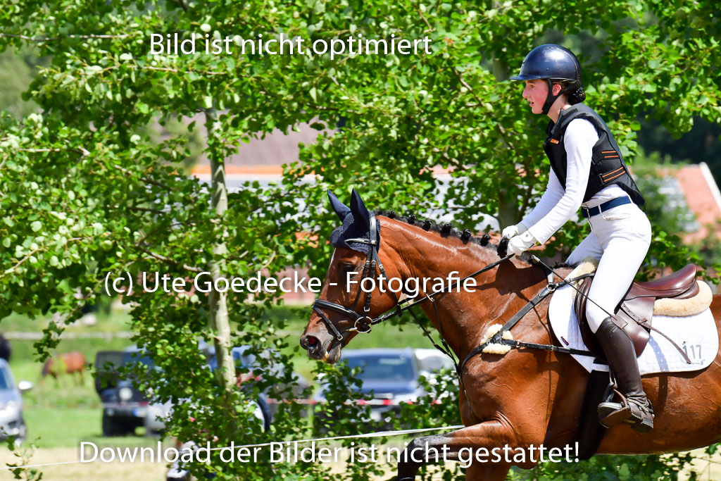 Goldene Schärpe PFerde  in Löningen  11+12.6.22 | 11062022 - Gelände 174 Abt