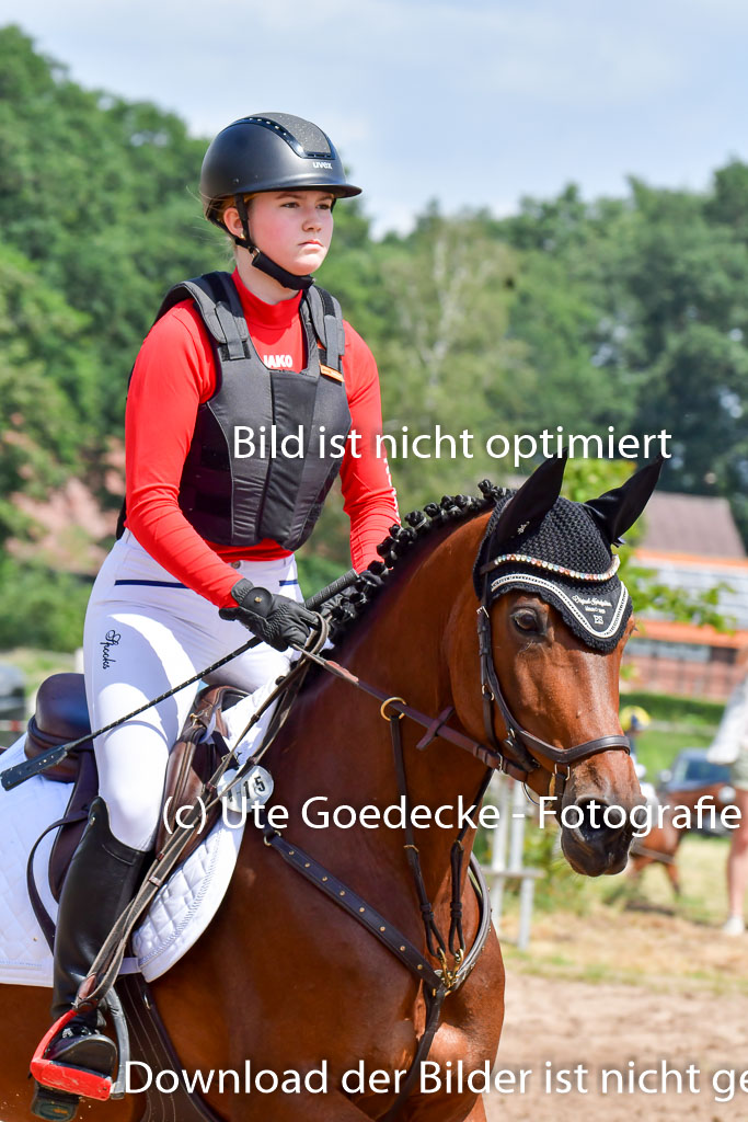 Goldene Schärpe PFerde  in Löningen  11+12.6.22 | 11062022 - Gelände 178 Abt