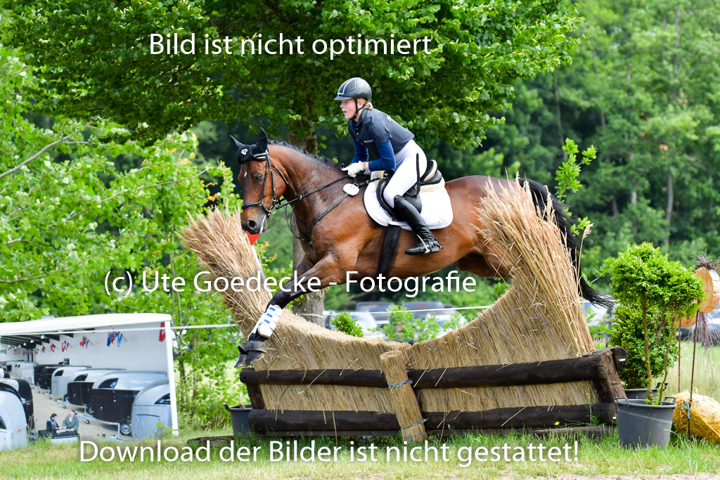 Goldene Schärpe PFerde  in Löningen  11+12.6.22 | 11062022 - Gelände 18 Abt 