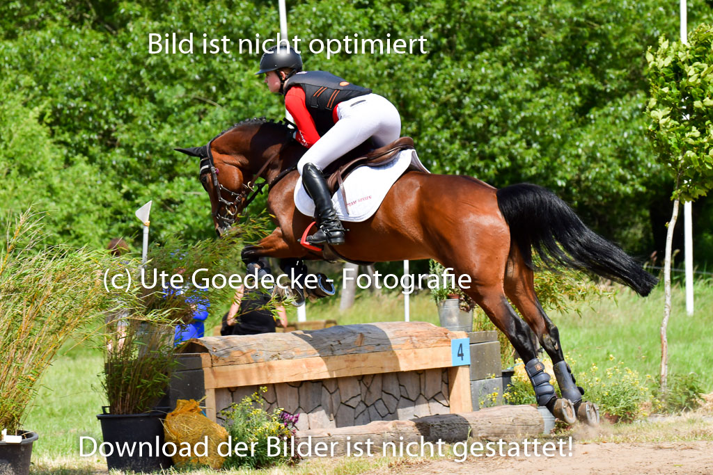 Goldene Schärpe PFerde  in Löningen  11+12.6.22 | 11062022 - Gelände 180 Abt
