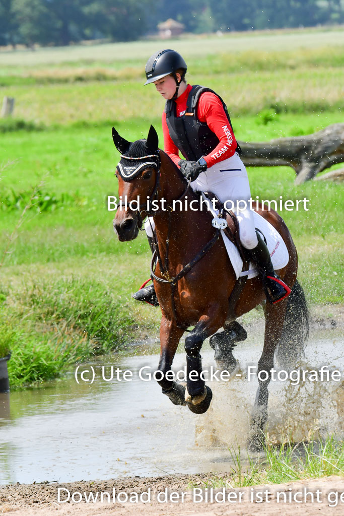 Goldene Schärpe PFerde  in Löningen  11+12.6.22 | 11062022 - Gelände 183 Abt