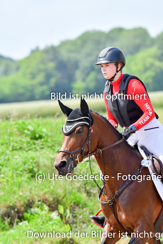 Goldene Schärpe PFerde  in Löningen  11+12.6.22 | 11062022 - Gelände 184 Abt