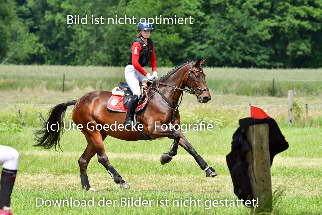 Goldene Schärpe PFerde  in Löningen  11+12.6.22 | 11062022 - Gelände 187 Abt