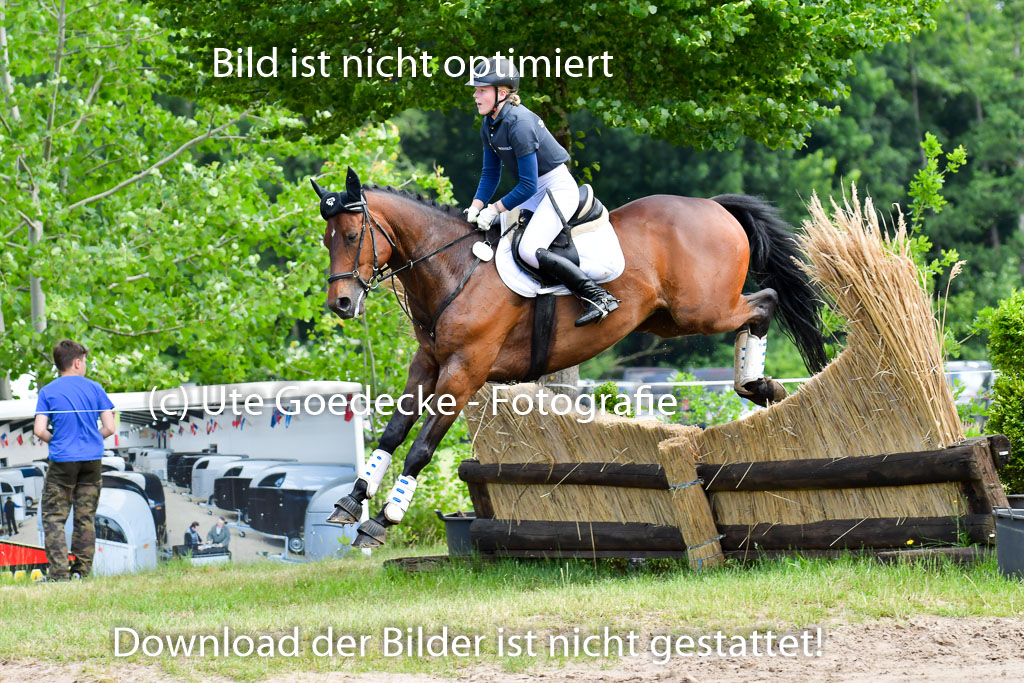 Goldene Schärpe PFerde  in Löningen  11+12.6.22 | 11062022 - Gelände 19 Abt 