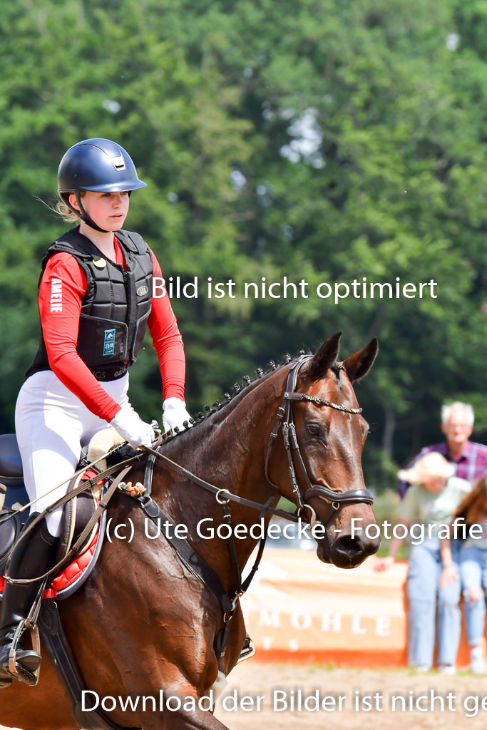 Goldene Schärpe PFerde  in Löningen  11+12.6.22 | 11062022 - Gelände 190 Abt