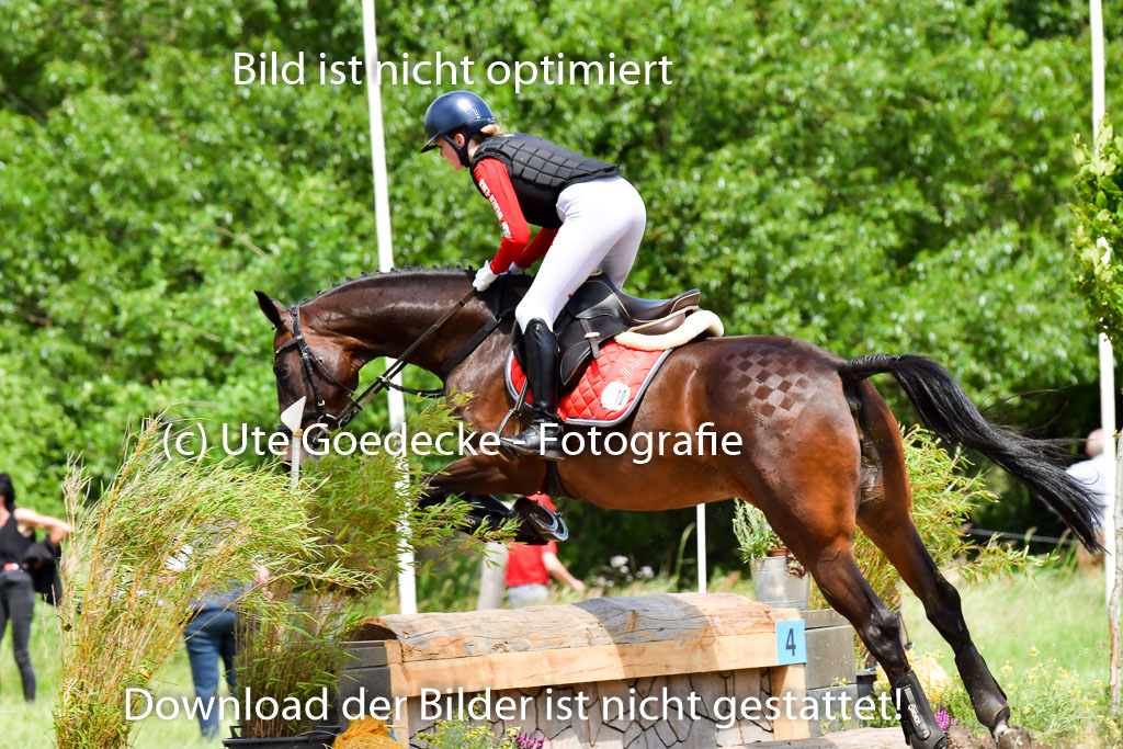 Goldene Schärpe PFerde  in Löningen  11+12.6.22 | 11062022 - Gelände 191 Abt