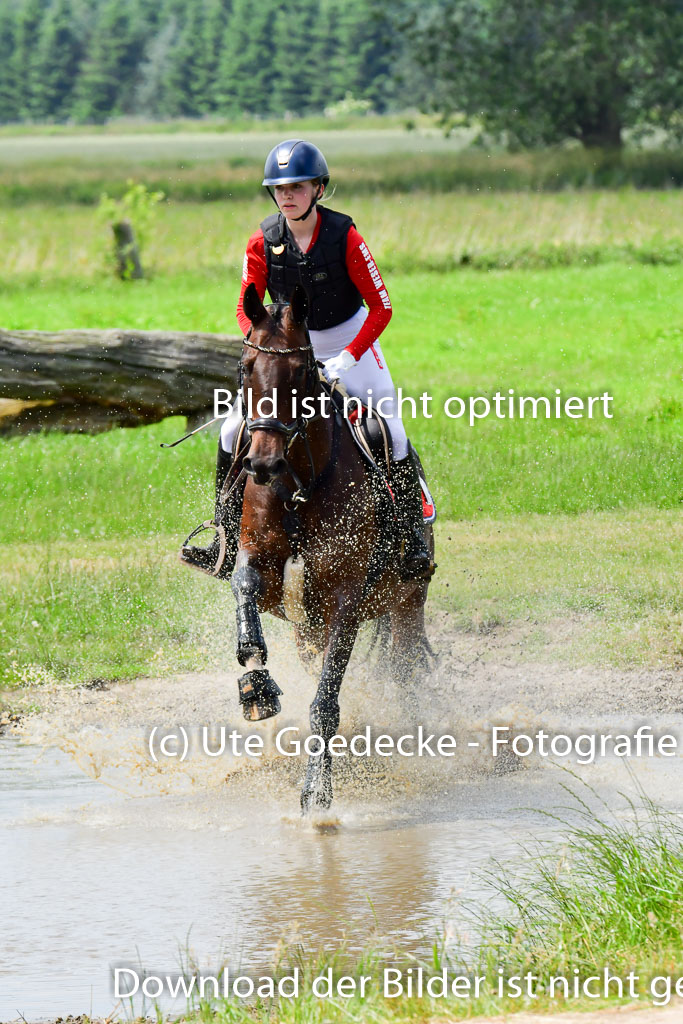 Goldene Schärpe PFerde  in Löningen  11+12.6.22 | 11062022 - Gelände 193 Abt