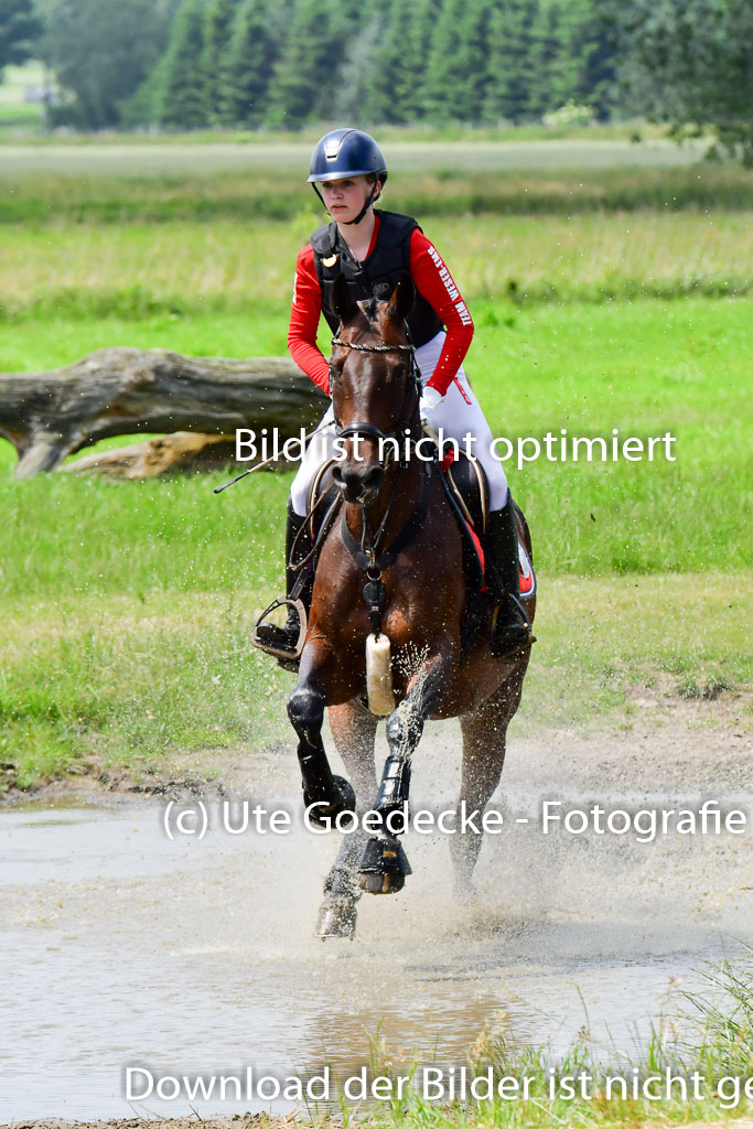 Goldene Schärpe PFerde  in Löningen  11+12.6.22 | 11062022 - Gelände 194 Abt