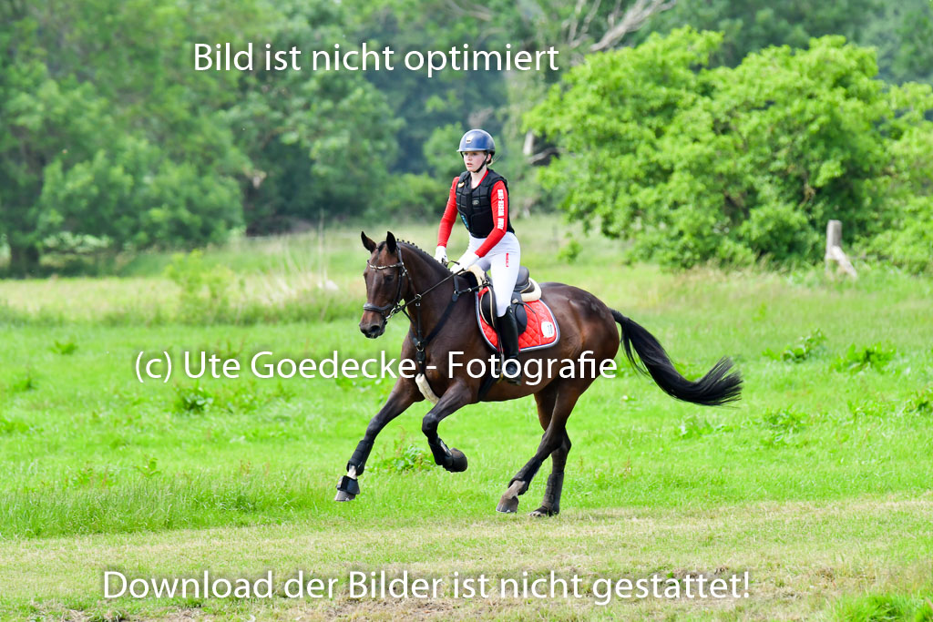 Goldene Schärpe PFerde  in Löningen  11+12.6.22 | 11062022 - Gelände 199 Abt
