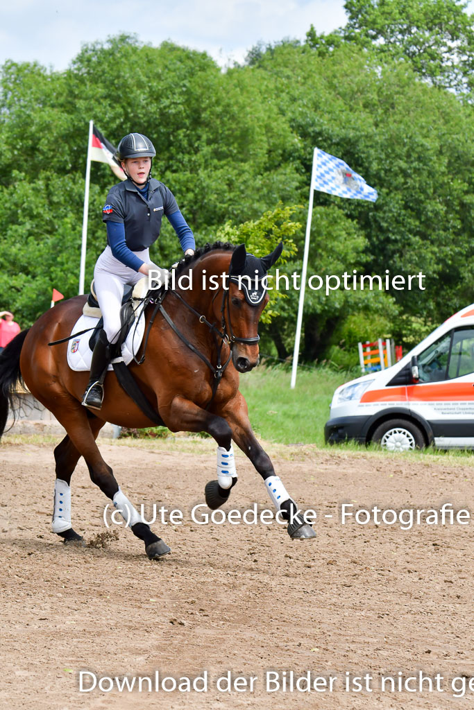 Goldene Schärpe PFerde  in Löningen  11+12.6.22 | 11062022 - Gelände 2 Abt 