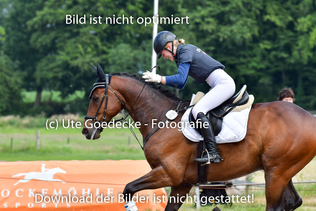 Goldene Schärpe PFerde  in Löningen  11+12.6.22 | 11062022 - Gelände 20 Abt 