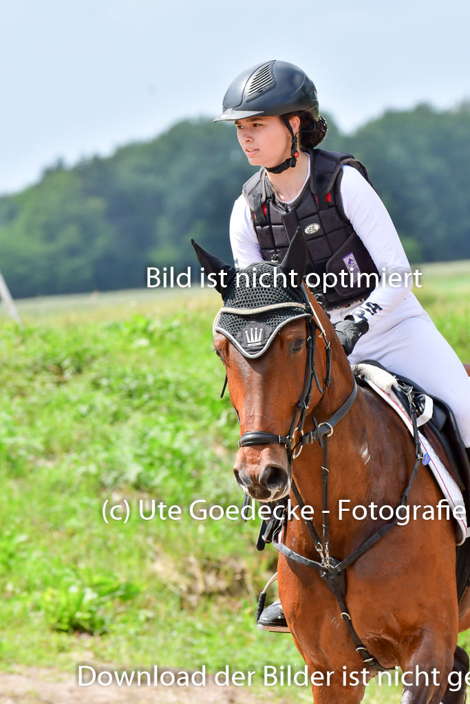 Goldene Schärpe PFerde  in Löningen  11+12.6.22 | 11062022 - Gelände 217 Abt 