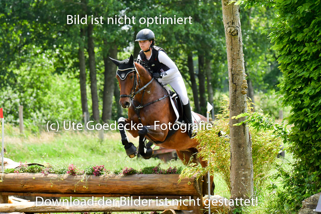 Goldene Schärpe PFerde  in Löningen  11+12.6.22 | 11062022 - Gelände 219 Abt 