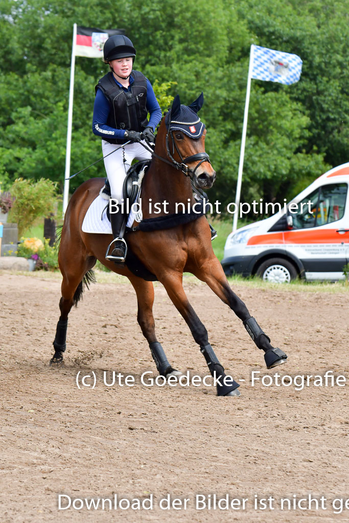Goldene Schärpe PFerde  in Löningen  11+12.6.22 | 11062022 - Gelände 23 Abt 