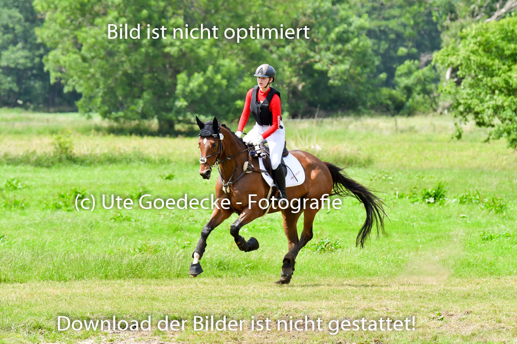 Goldene Schärpe Pferde  in Löningen  11+12.6.22 | 11062022 - Gelände 243 Abt 