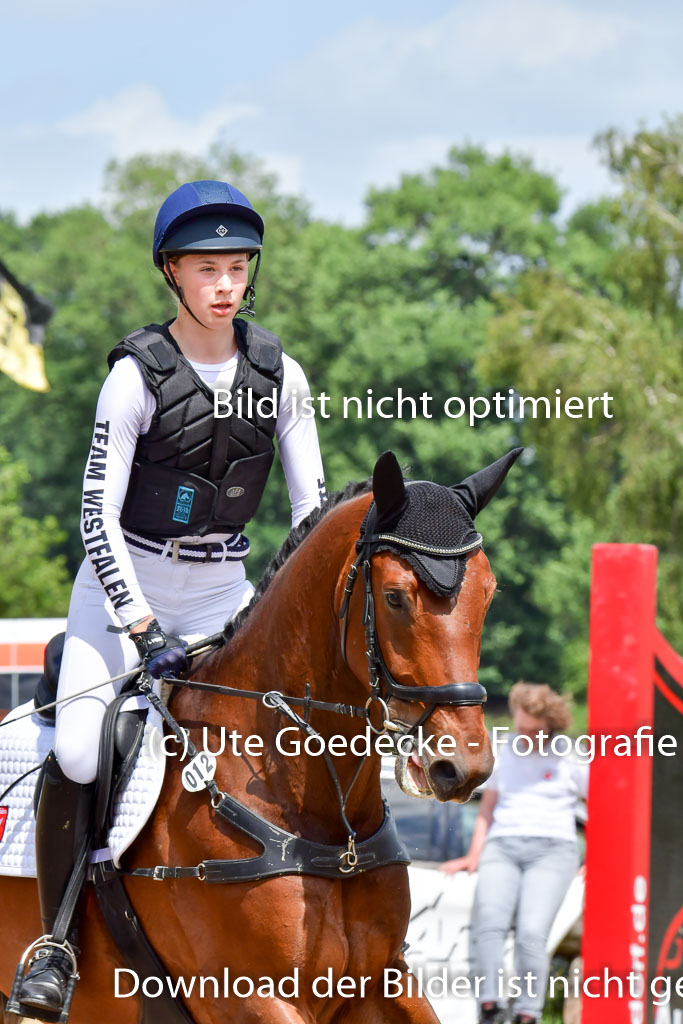 Goldene Schärpe Pferde  in Löningen  11+12.6.22 | 11062022 - Gelände 249 Abt 
