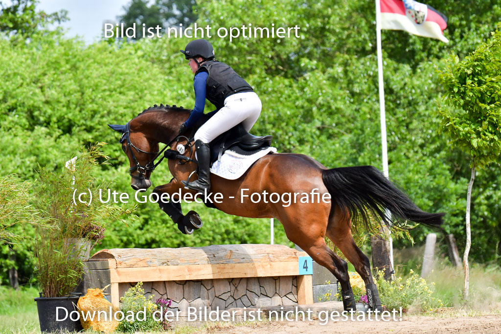 Goldene Schärpe PFerde  in Löningen  11+12.6.22 | 11062022 - Gelände 25 Abt