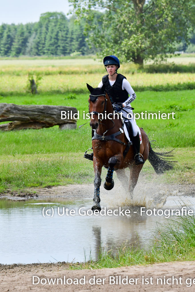 Goldene Schärpe Pferde  in Löningen  11+12.6.22 | 11062022 - Gelände 252 Abt 
