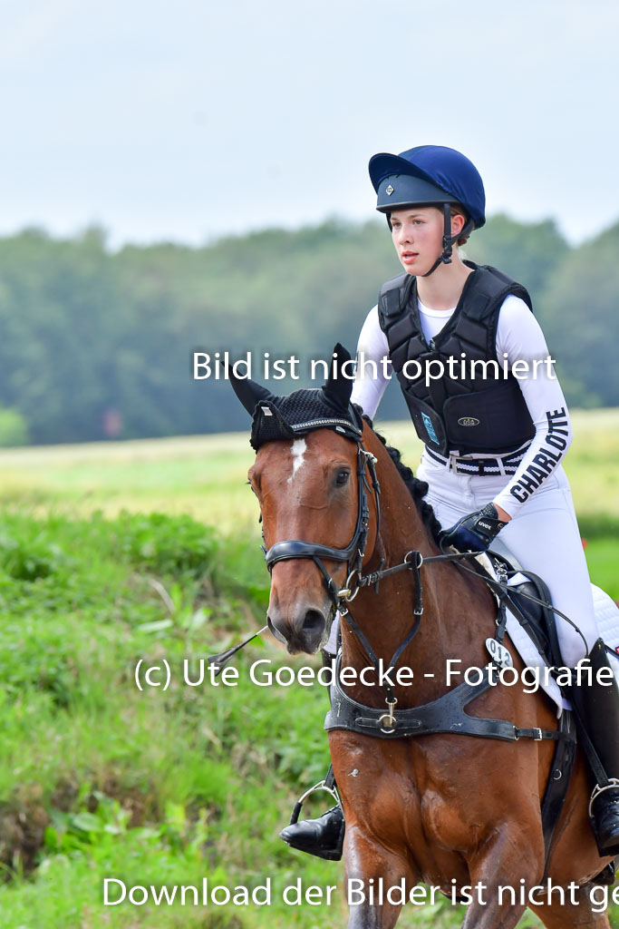 Goldene Schärpe Pferde  in Löningen  11+12.6.22 | 11062022 - Gelände 257 Abt 