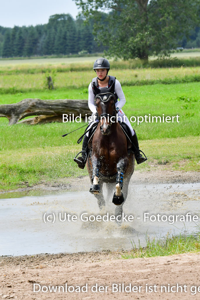 Goldene Schärpe Pferde  in Löningen  11+12.6.22 | 11062022 - Gelände 275 Abt 
