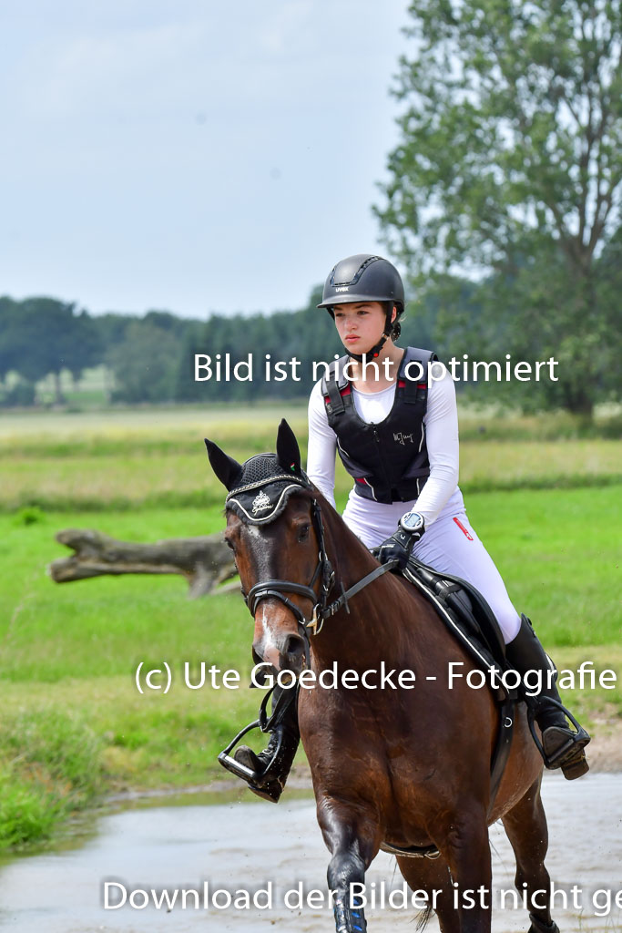 Goldene Schärpe Pferde  in Löningen  11+12.6.22 | 11062022 - Gelände 277 Abt 