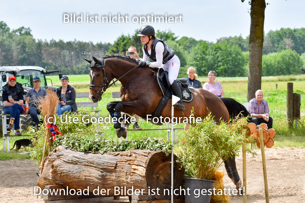 Goldene Schärpe Pferde  in Löningen  11+12.6.22 | 11062022 - Gelände 285 Abt 