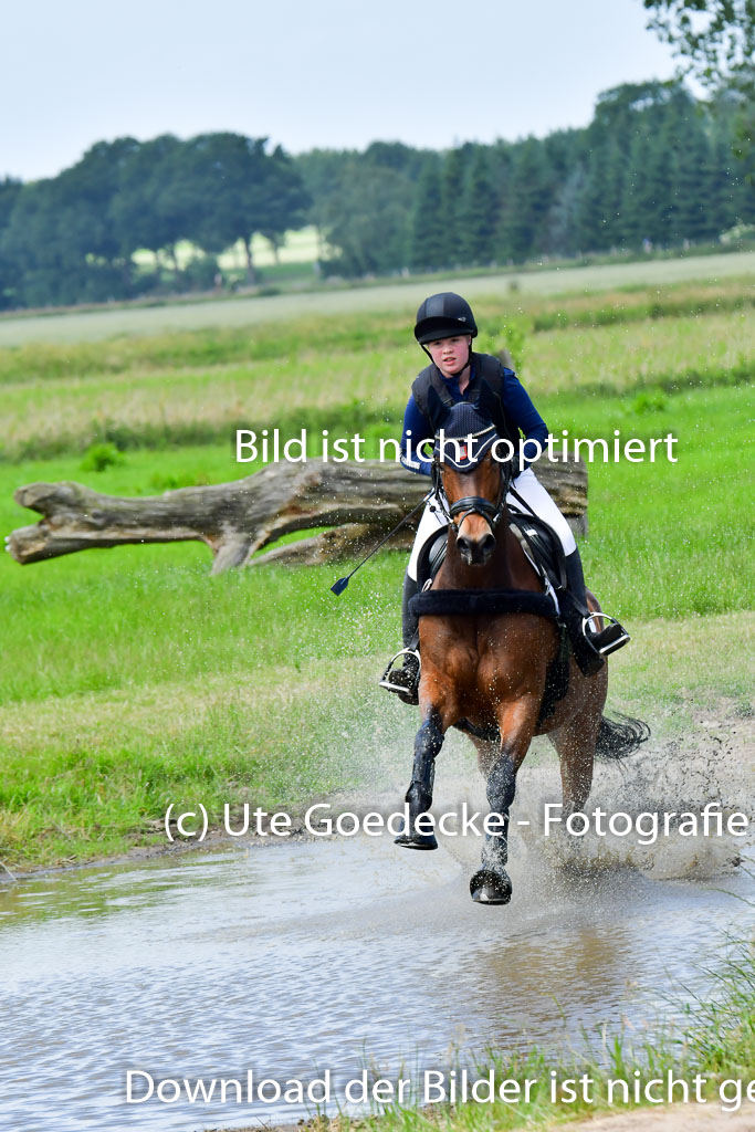 Goldene Schärpe PFerde  in Löningen  11+12.6.22 | 11062022 - Gelände 29 Abt 