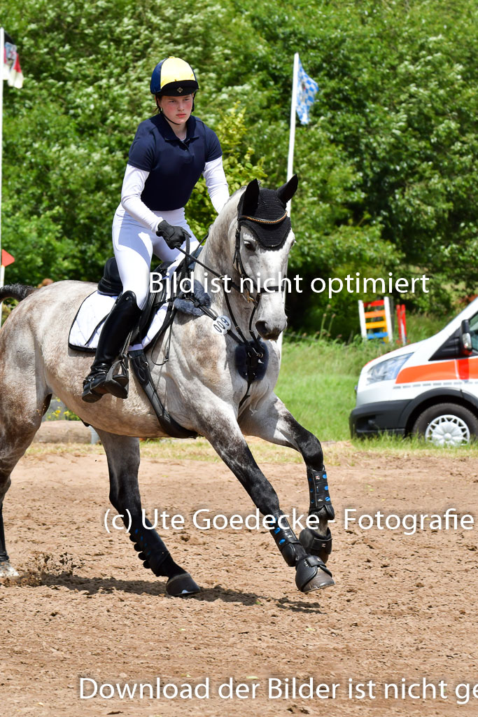 Goldene Schärpe Pferde  in Löningen  11+12.6.22 | 11062022 - Gelände 293 Abt 