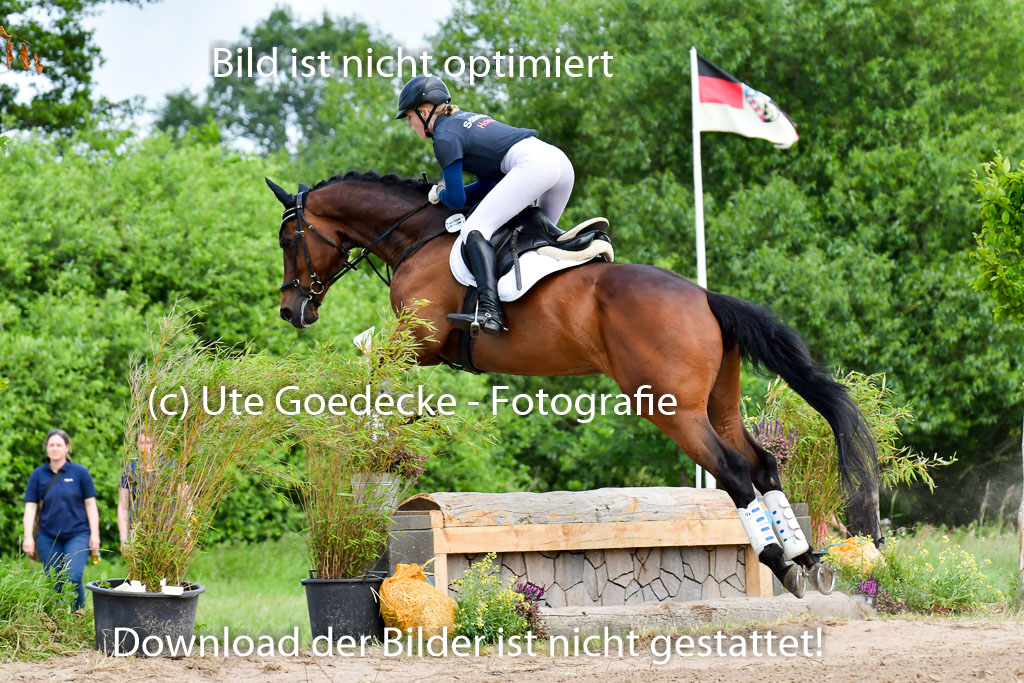 Goldene Schärpe PFerde  in Löningen  11+12.6.22 | 11062022 - Gelände 3 Abt 