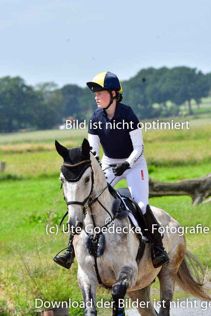 Goldene Schärpe Pferde  in Löningen  11+12.6.22 | 11062022 - Gelände 300 Abt
