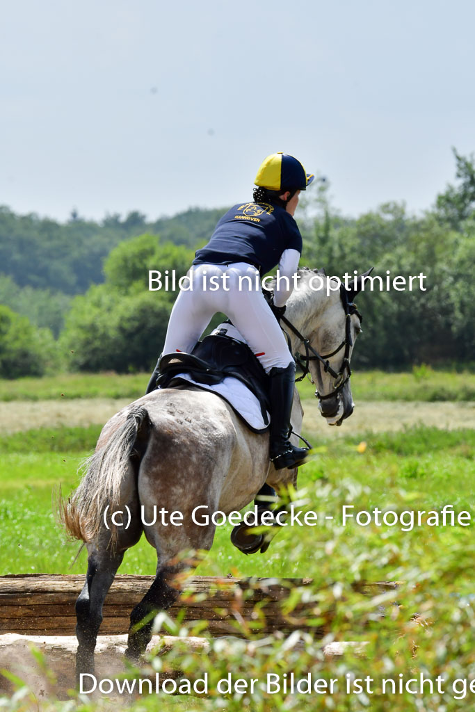 Goldene Schärpe Pferde  in Löningen  11+12.6.22 | 11062022 - Gelände 302 Abt