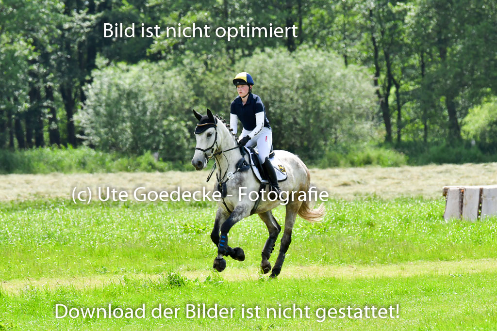 Goldene Schärpe Pferde  in Löningen  11+12.6.22 | 11062022 - Gelände 303 Abt 