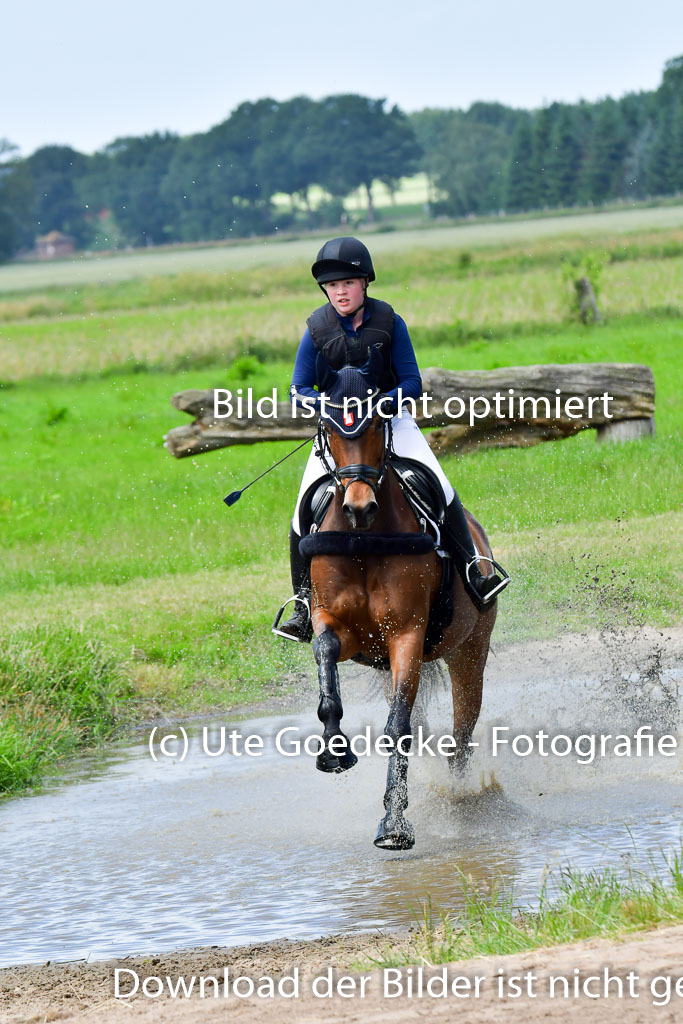 Goldene Schärpe PFerde  in Löningen  11+12.6.22 | 11062022 - Gelände 31 Abt 