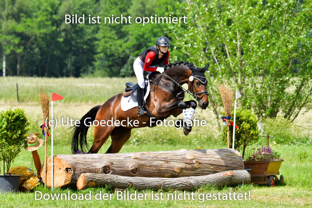 Goldene Schärpe Pferde  in Löningen  11+12.6.22 | 11062022 - Gelände 315 Abt