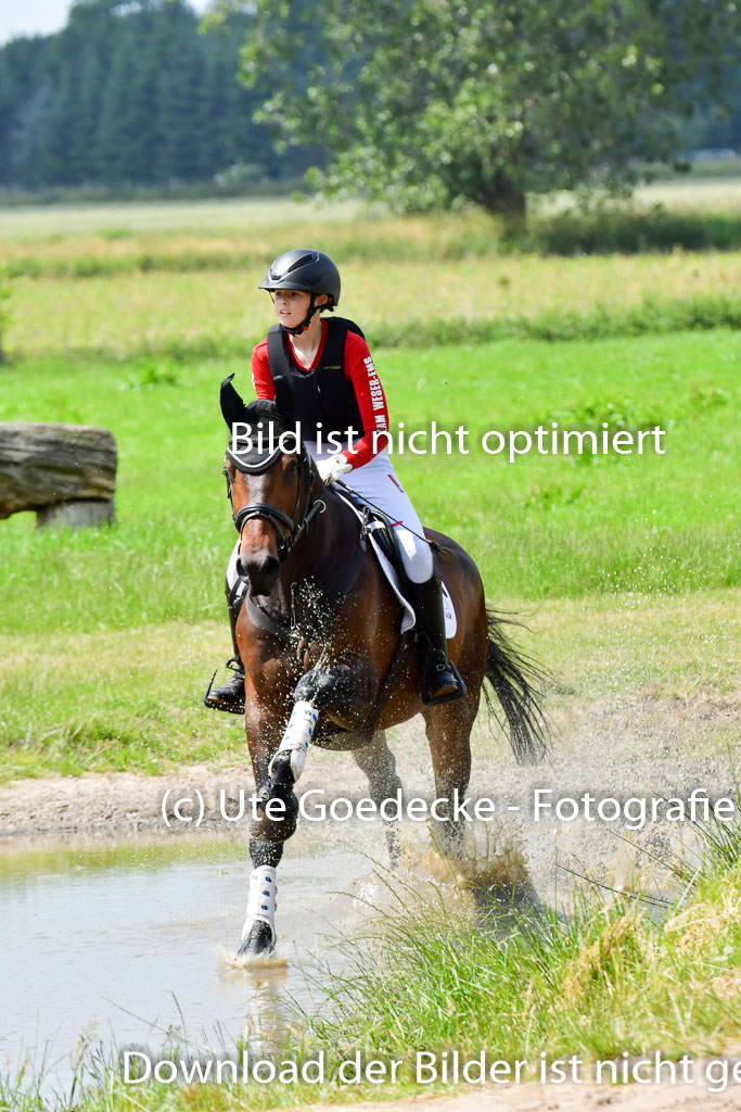 Goldene Schärpe Pferde  in Löningen  11+12.6.22 | 11062022 - Gelände 320 Abt