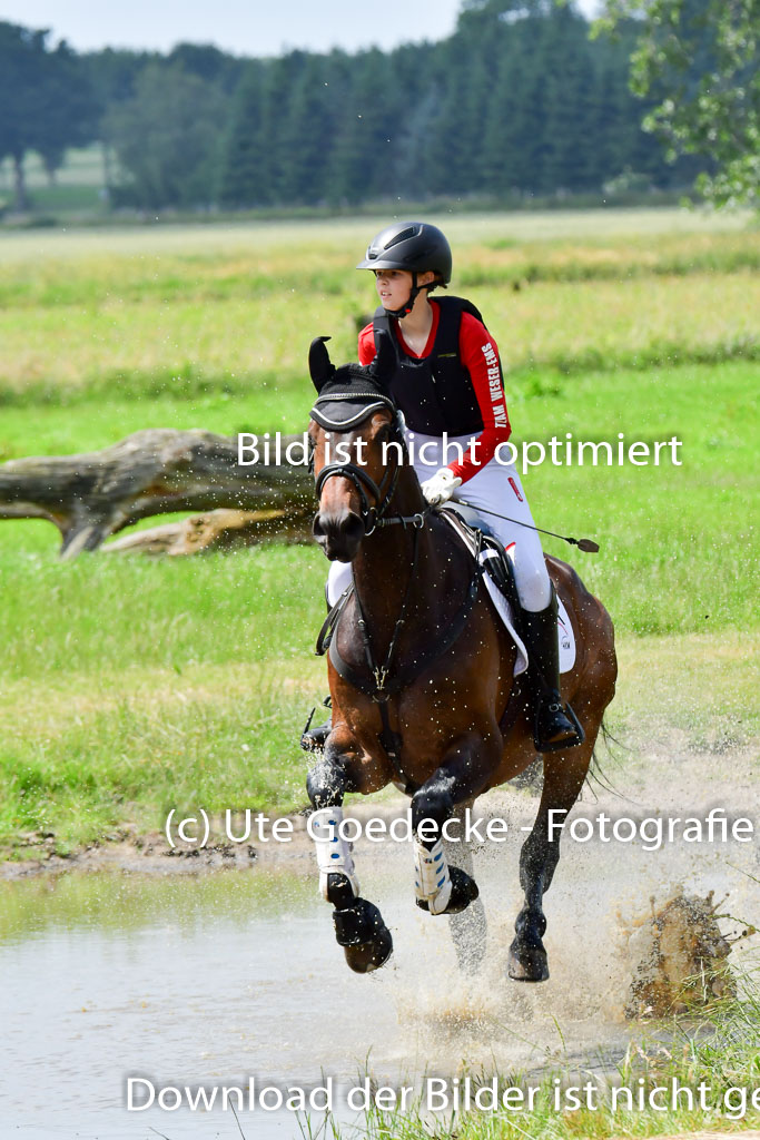 Goldene Schärpe Pferde  in Löningen  11+12.6.22 | 11062022 - Gelände 321 Abt