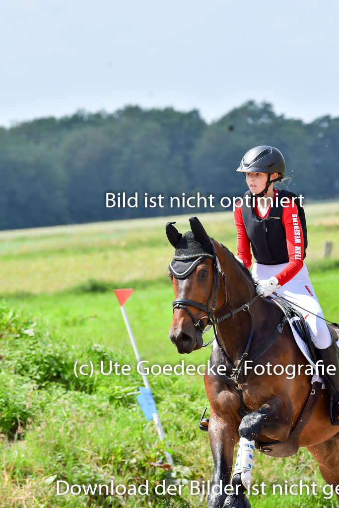 Goldene Schärpe Pferde  in Löningen  11+12.6.22 | 11062022 - Gelände 323 Abt 