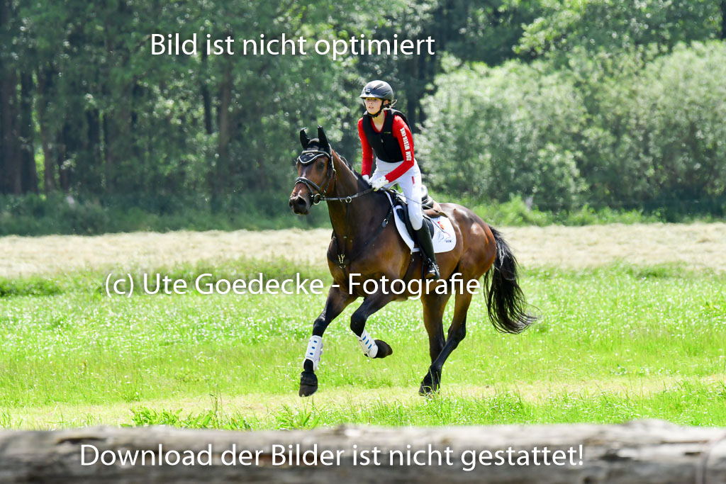 Goldene Schärpe Pferde  in Löningen  11+12.6.22 | 11062022 - Gelände 326 Abt
