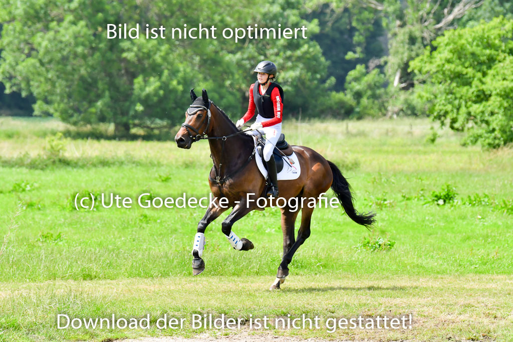 Goldene Schärpe Pferde  in Löningen  11+12.6.22 | 11062022 - Gelände 330 Abt